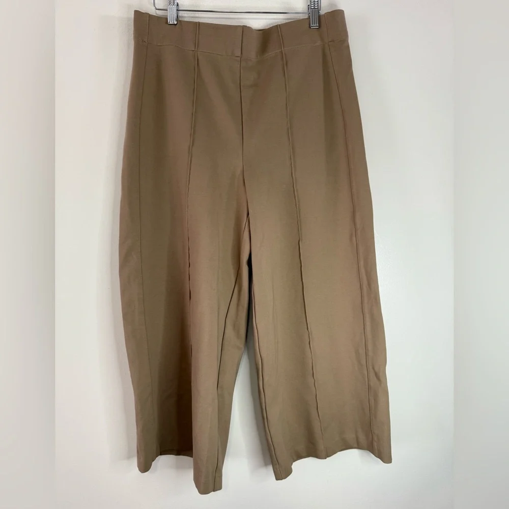 Jones & Co. Jones NY Wide-Leg Tan Pull on pants in size XL